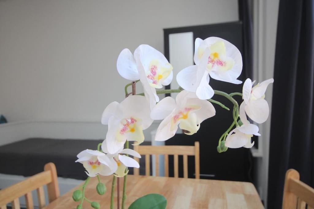 South Kensington Flat Close To Hyde Park London Exterior photo